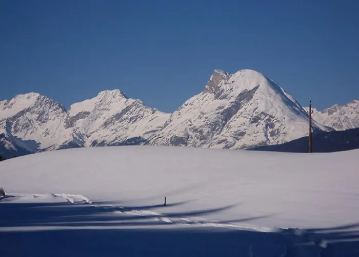 Studlerhof * 奥贝朴菲斯